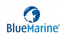 Blue Marine verlichting